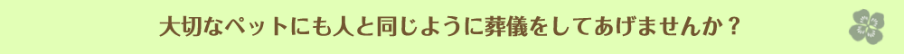 大切なペットにも人と同じように葬儀をしてあげませんか？