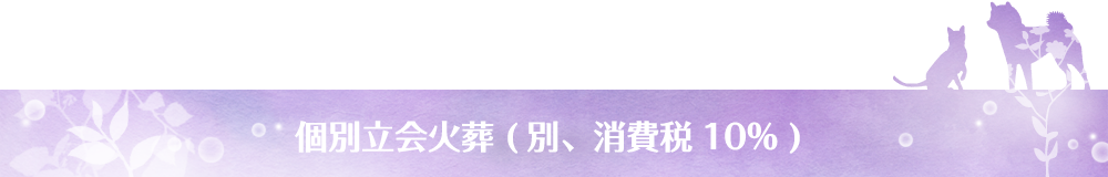 個別立会火葬 (別、消費税10%)