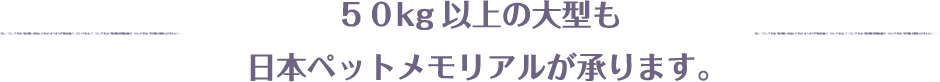 50kg以上の大型も日本ペットメモリアルが承ります。
