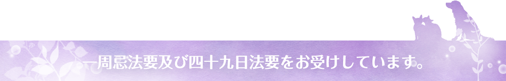 一周忌法要及び四十九日法要をお受けしています。