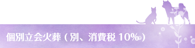 個別立会火葬 (別、消費税10%)