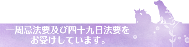 一周忌法要及び四十九日法要をお受けしています。