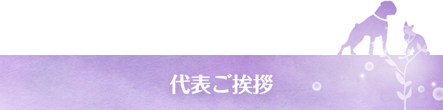 代表ご挨拶